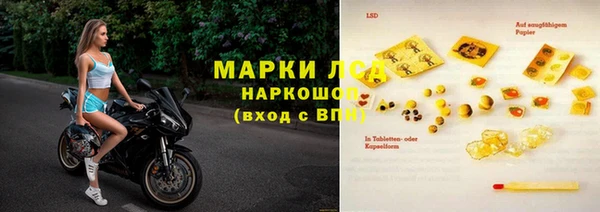 шишки Мегион