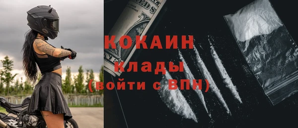 шишки Мегион