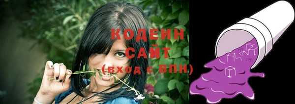 сатива Верея