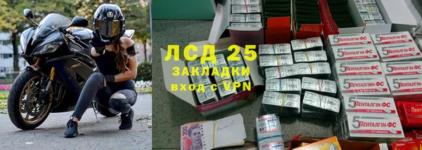 шишки Мегион