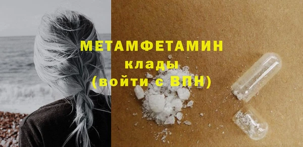 шишки Мегион