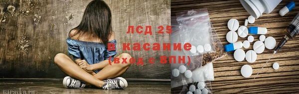 шишки Мегион