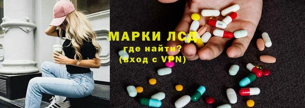 шишки Мегион