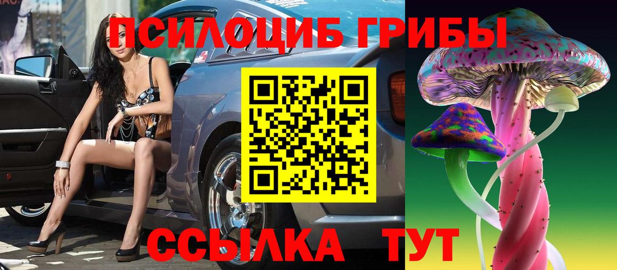 Псилоцибиновые грибы Psilocybine cubensis Карталы